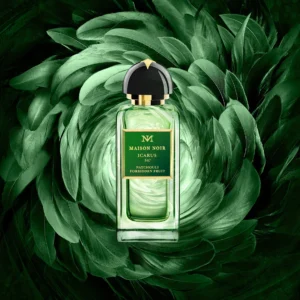 MAISON NOIR - ICARUS 347 EDP