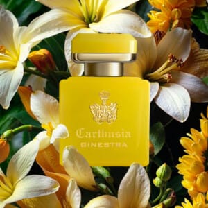 CARTHUSIA - INTENSO GINESTRA EDP